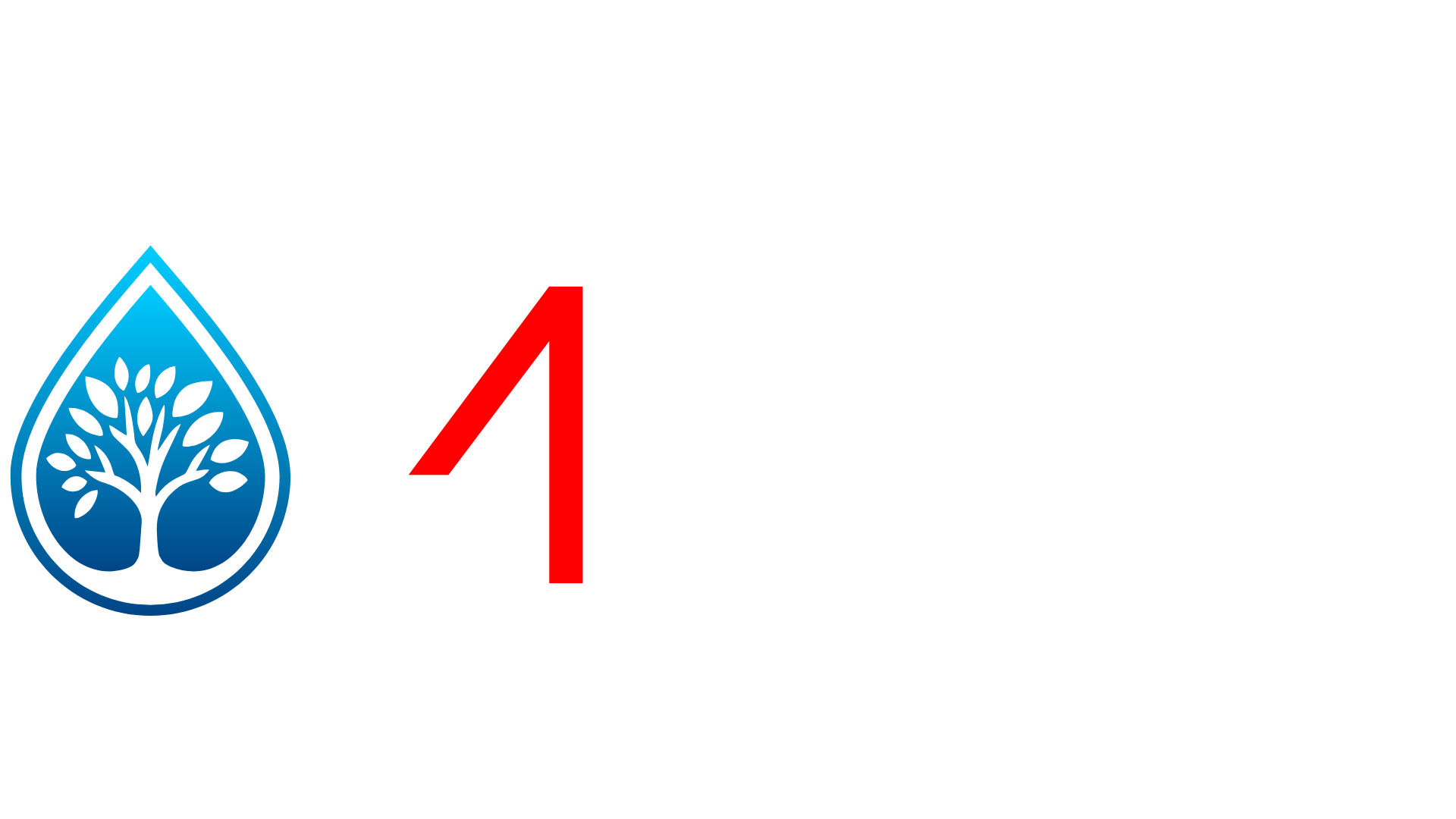 CAUCHO BORRACHAS